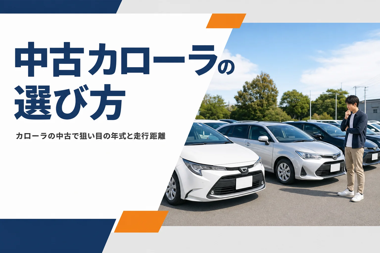 中古車展示場に並ぶセダンとワゴン
